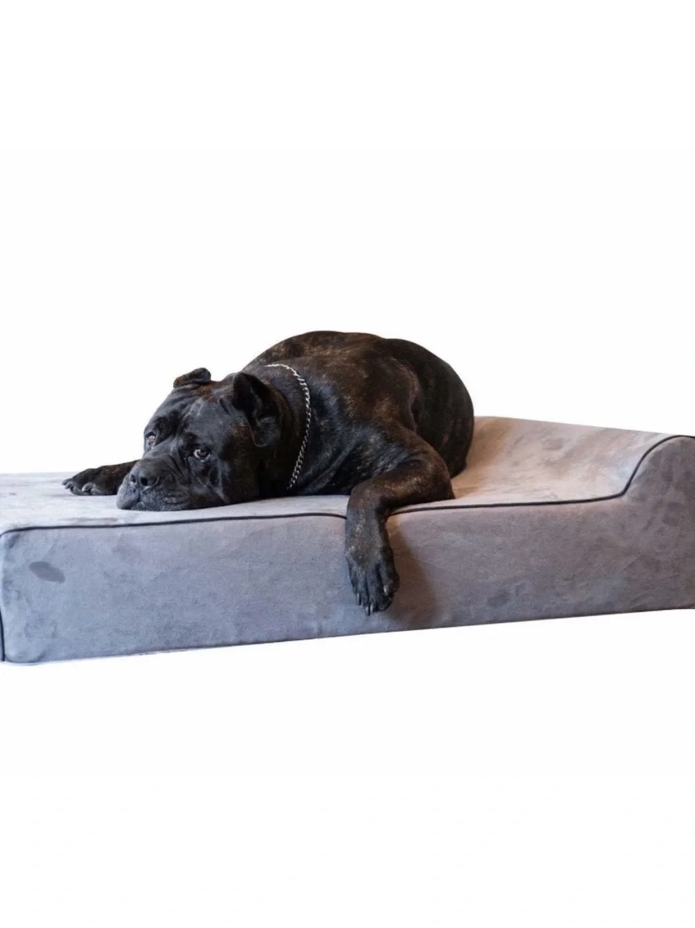 Original Bully Bed Orthopedic Dog Bed